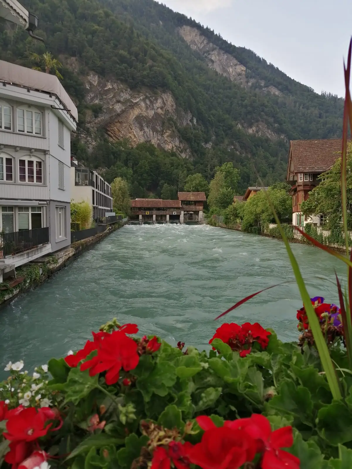 Zurich Airport (ZRH) to Interlaken